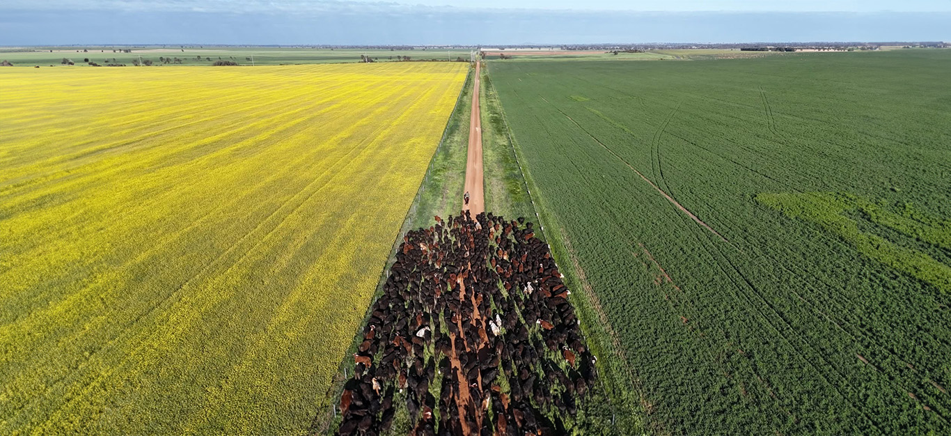 Creating a sustainable and brighter future 